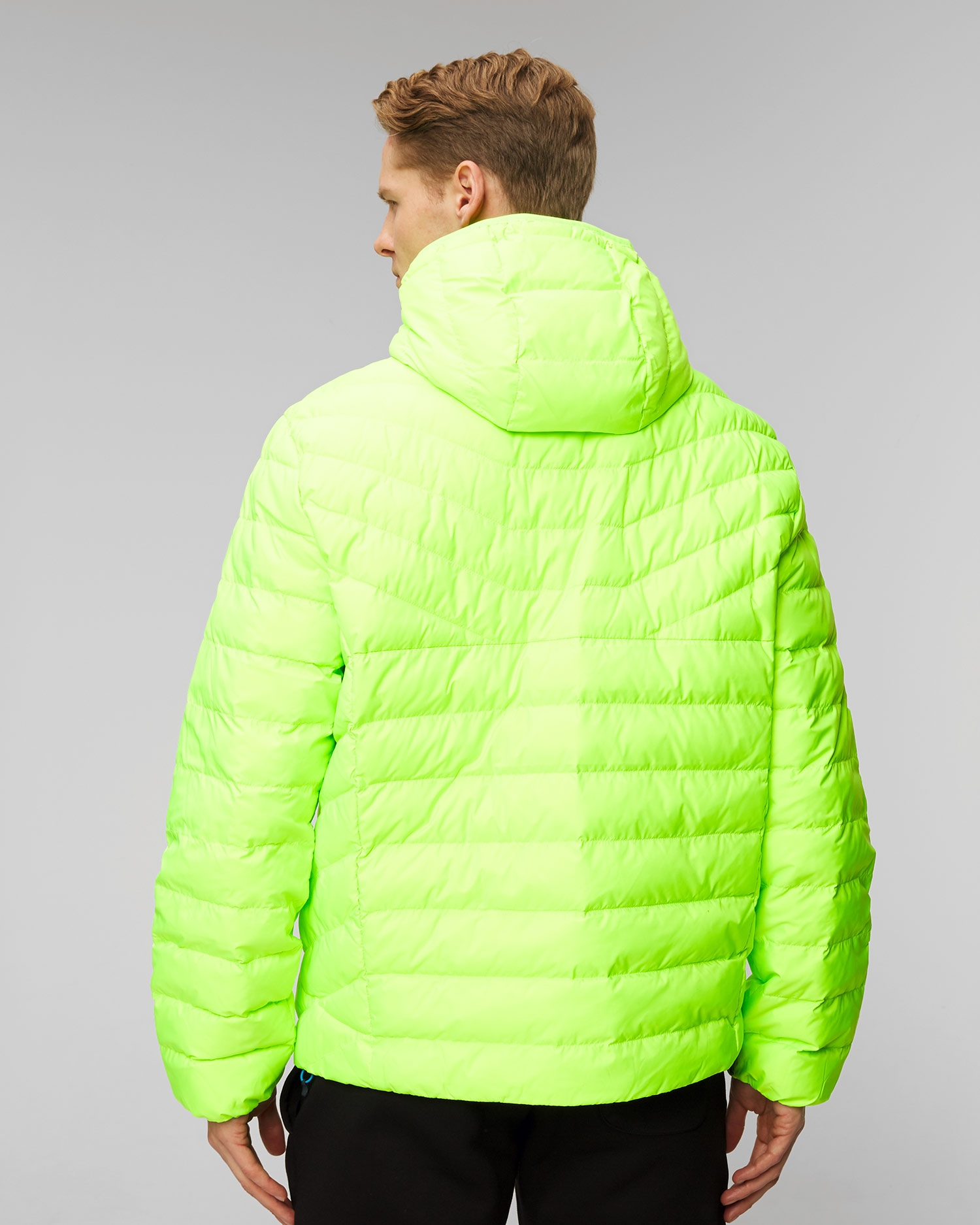 Zielona kurtka męska Polo Ralph Lauren