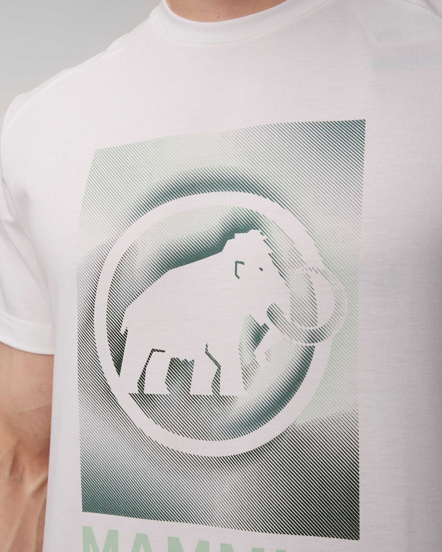 Pánské technické tričko Mammut Trovat