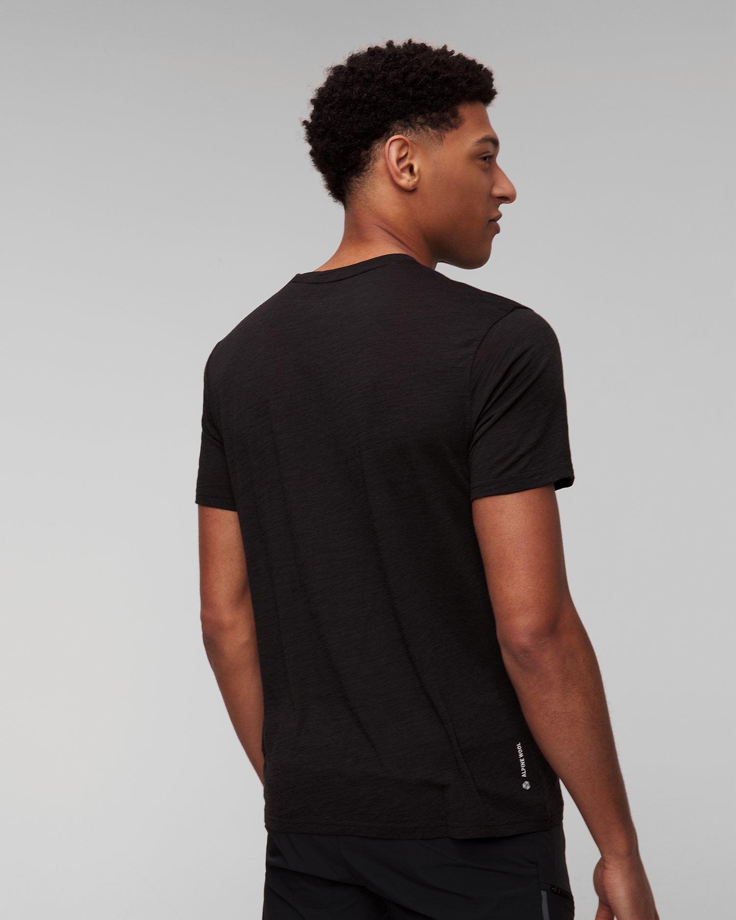 Pánské vlněné tričko Salewa Eagle Dotted Mountain Trainer