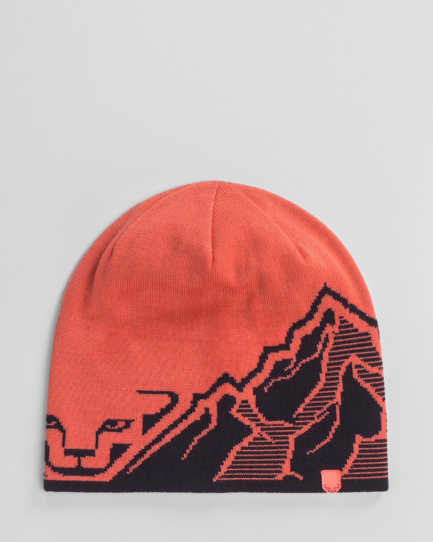 Čepice DYNAFIT GRAPHIC BEANIE