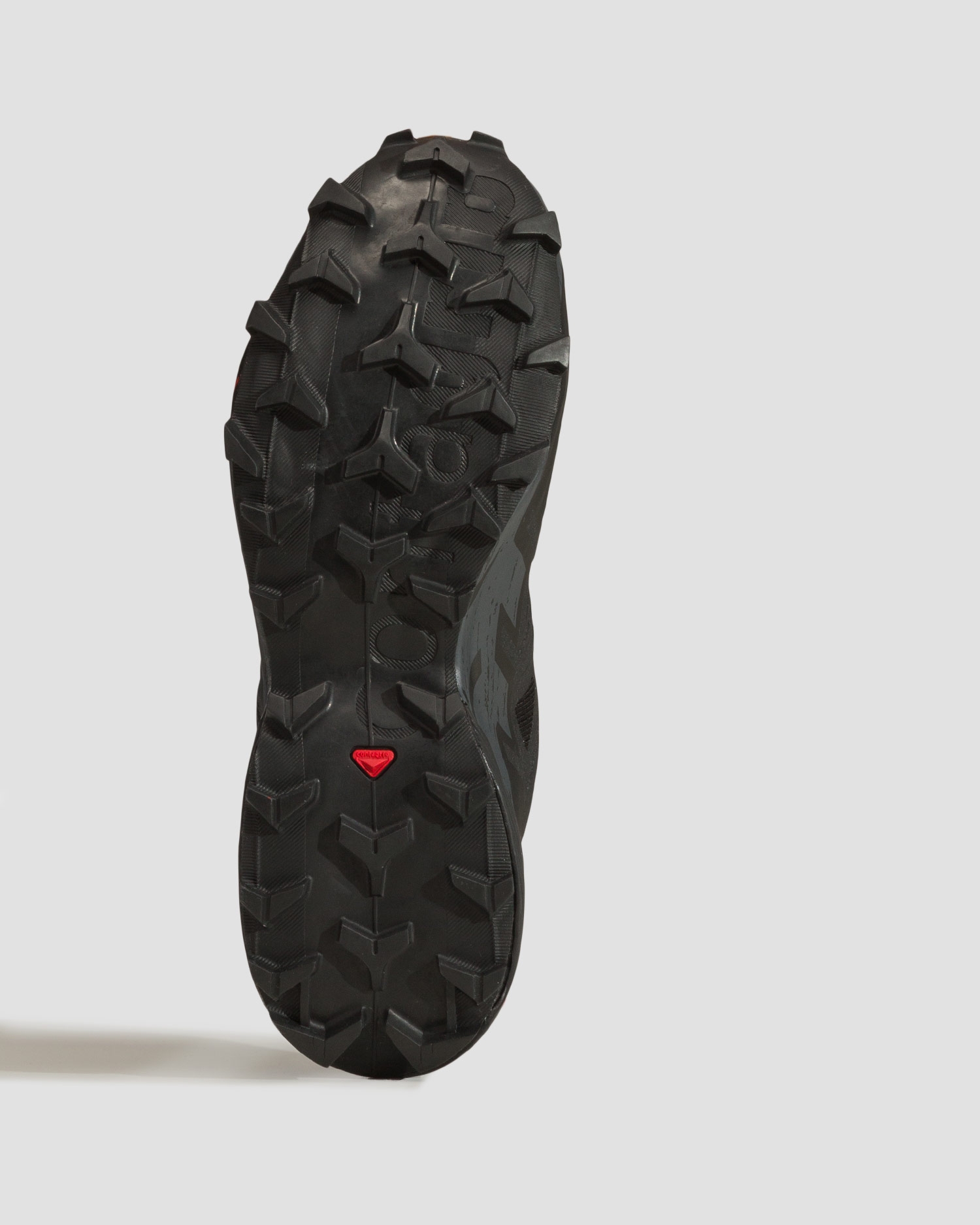 Pánské trailové boty Salomon Speedcross 6 GTX