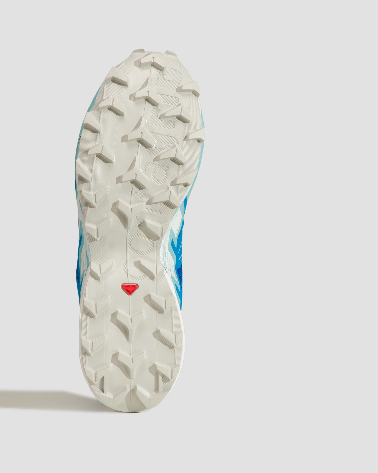 Pánské trailové boty Salomon Speedcross 6