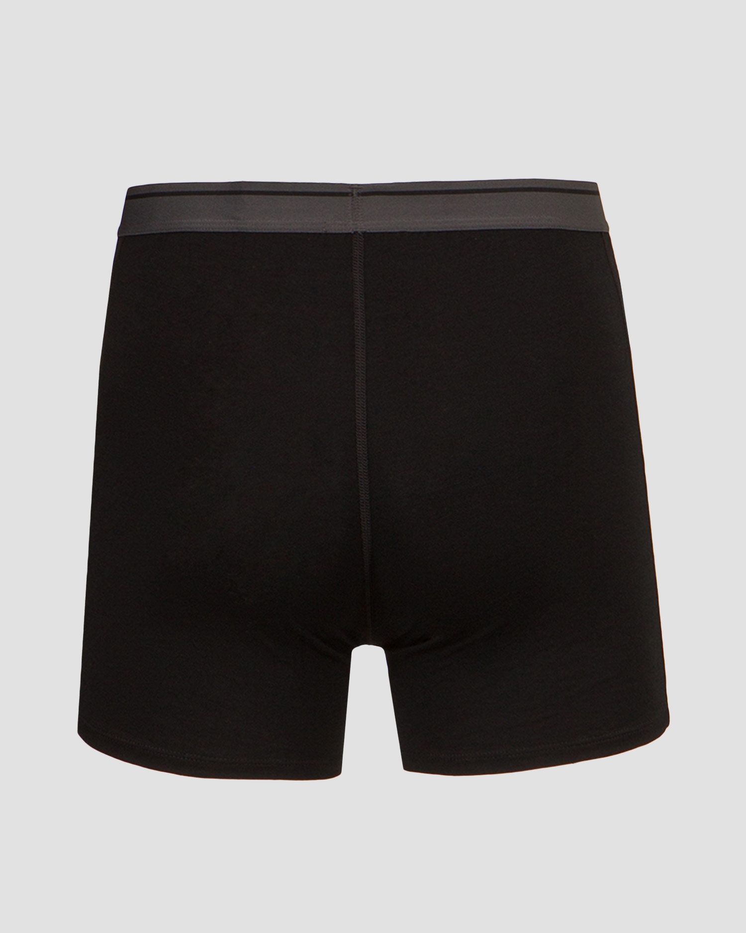 Boxerky Icebreaker ANATOMICA 